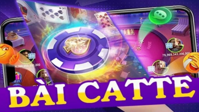 Catte - Tựa game bài phổ biến với cách chơi độc đáo