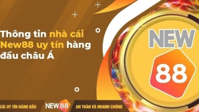 New88 - Sân chơi giải trí hàng đầu với đa dạng loại hình cá cược